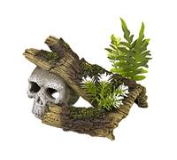 Rosewood Décoration Tête de Mort Sur Bûche avec Plantes en Polyrésine pour Petit Aquarium