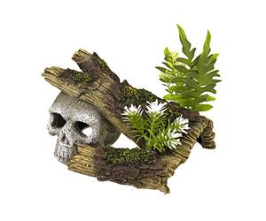 Rosewood Décoration Tête de Mort Sur Bûche avec Plantes en Polyrésine pour Petit Aquarium