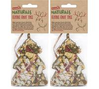 Rosewood Festive Fruit Tree - Gâterie de Noël pour Petits Animaux au Persil, myrtilles, Pomme et Noix de Coco - Convient aux Lapins, cochons d’Inde, Hamsters et Autres Petits Animaux (Lot de 2)