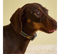 Rosewood Joules Collier pour Chien en Cuir Bleu Marine, Taille S