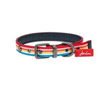 Rosewood Joules Collier pour Chien Motif Rayures Arc-en-Ciel Taille M