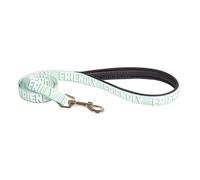 Rosewood Laisse « Friendly » pour Chien - Laisse pour Chiens de Petite, Moyenne et Grande Taille - Laisse d'avertissement de Sensibilisation avec matériel en métal - Vert, 102 cm