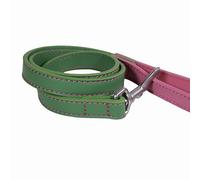 Rosewood Laisse pour Chien en Cuir végétalien - Laisse en Cuir synthétique pour Chiens de Petite, Moyenne et Grande Taille - Élégante, Durable avec matériel en métal - Vert/Rose, 102 cm