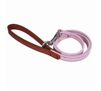 Rosewood Laisse pour Chien en Cuir végétalien - Laisse en Cuir synthétique pour Chiens de Petite, Moyenne et Grande Taille - Élégante, Durable avec matériel en métal - Rose/Rouge - 102 cm