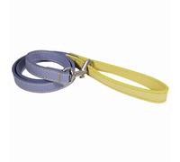 Rosewood Laisse pour Chien en Cuir végétalien - Laisse en Cuir synthétique pour Chiens de Petite, Moyenne et Grande Taille - Élégante, Durable avec matériel en métal - Bleu/Jaune, 102 cm