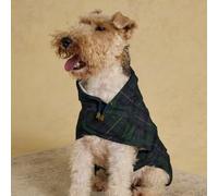 Rosewood X Joules Blackwatch Check Packaway Veste pour Chien Taille M - Manteau léger et imperméable avec Capuche, Fermetures Velcro réglables, Portable pour Les Voyages et Les promenades