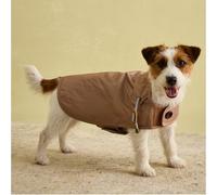 Rosewood Joules Burra Manteau de Pluie pour Chien de Petite Taille, Lavable, léger, résistant à la Pluie/à l'eau, Marron, Taille S