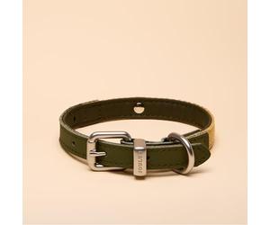 Rosewood X Joules Collier pour Chien Kaki Petit modèle en Cuir Durable et détails en Toile Design élégant avec Boucle en métal brossé Accessoire pour Animal de Compagnie