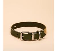 Rosewood X Joules Collier pour Chien Kaki Taille M - Cuir Durable et détails en Sangle, Design élégant avec Boucle en métal brossé, Accessoire pour Animaux de Compagnie de qualité supérieure