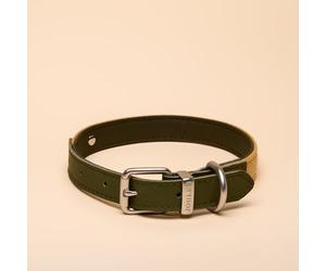 Rosewood X Joules Collier pour Chien Kaki Taille M - Cuir Durable et détails en Sangle, Design élégant avec Boucle en métal brossé, Accessoire pour Animaux de Compagnie de qualité supérieure