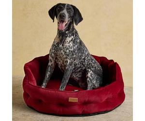Rosewood x Joules - Lit Chesterfield pour Animal Domestique - Taille S - Velours de Luxe avec Base antidérapante, Rembourrage supplémentaire et Coussin de Soutien - Design élégant inspiré du canapé
