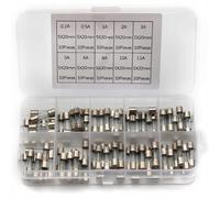 Rosfix Set Fusibles Verre Rapides 5x20mm - 100 Pièces 0,2A à 20A | Format Standard | Protection Surtension | Pour Appareils Électroniques | Accessoire Électrique