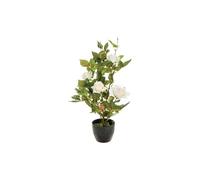 Rosier Artificiel En Pot - H. 50 Cm - Blanc Blanc