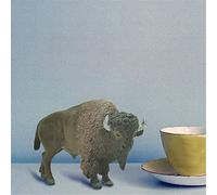 Rosixehird Figurines Ox Toys,Modèle de Boeuf de Simulation de Bison simulé | Jouets éducatifs et à Collectionner pour Les Amoureux des Animaux et Cadeau d'anniversaire pour Les Tout-Petits