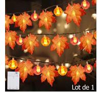 Rosnek Guirlande Lumineuse en Feuille d'érable, 1,5 m 10 LED, Einzelnes Ahornblatt mit Kürbis, pour Automne Halloween Fête, 1 piéce