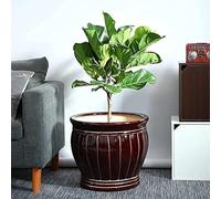 ROSPFKELSC Grand pot de fleurs en céramique, motif fil doré bronze avec trou de drainage, pour villa, allée et décoration de bureau, 44 cm de diamètre (31 x 33 cm)