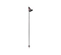 Rossignol Tactic Carbon Clip Poles Argenté 125 cm Homme