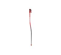 Rossignol Bâtons Hero Gs-sg