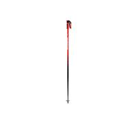 Rossignol Bâtons Hero Sl