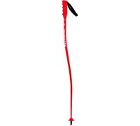 Rossignol Bâtons Junior Hero Gs-sg