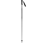 Rossignol Paire Petits Bâtons Ski Tactic, Homme À L'Mountain (Grey/ Noir)