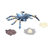 Rosvola Modèle de Cycle de Croissance D'araignée, Jouet éducatif pour Enfants avec Simulation Détaillée du Cycle de Vie, adapté à L'apprentissage et à L'imagination, 4 Pièces