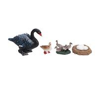 Rosvola Modèle de Cycle de Croissance en 4 étapes, Jouet éducatif pour Enfants, Apprentissage Créatif, Cycle de Vie détaillé des Animaux, Matériau ABS, Lot de 4 (B)