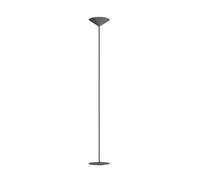 Rotaliana Dry F1 Deckenfluter, Satin graphite