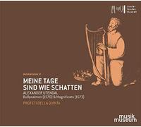Rotem,Elam - Meine Tage Sind Wie Schatten-Bußpsalmen & Magn.
