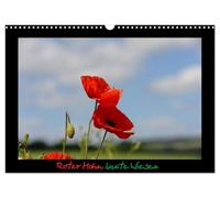 Roter Mohn, bunte Wiesen (Wandkalender 2026 DIN A3 quer), CALVENDO Monatskalender: Sommerwiesen