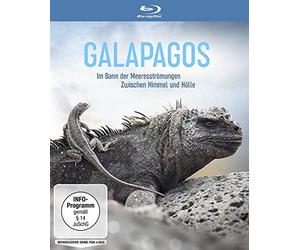 Rotermund,Sascha - Galapagos: im Bann der Meeresströmungen [Blu-ray]