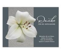 RotfuchsDesign Lot de 10 cartes de remerciement pliantes avec enveloppe - Cartes de remerciement après un décès, funérailles, adieu - Motif : lys