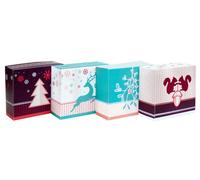 Roth Calendrier De L'Avent À à Remplir - 24 Adventsboxenkette' Forêt D'Hiver '