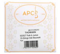 Roth & Junius Roth & Junius 10-String Irish Bouzouki Set