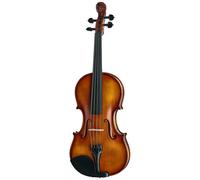 Roth & Junius Roth & Junius Europe Lion`s Head Violin St/E
