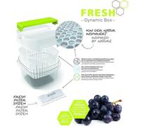 Rotho - 1025990000 - Fresh Jeu De 4 Recharges Fresh Filter System, De Nouveaux Filtres, Blanc, (12.0 X 6.7 X 4.2 Cm)