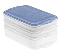 Rotho Aufschnittbox Rangement Gardé Nouvelle Dose Inventaire Horizon Bleu 3er De