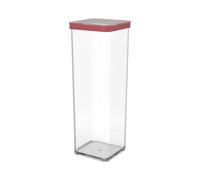 Rotho Boîte à provisions avec couvercle Loft 2 L - Boîte de conservation avec anneau d'étanchéité en silicone - Boîte de conservation 10,0 x 10,0 x 28,5 cm - Récipient à provisions Boîte