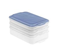 Rotho boite charcuterie 3 compartiments bleu