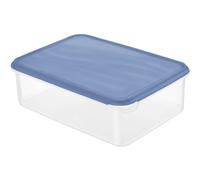 Rotho Boîte De Conservation Pour Réfrigérateur Horizon Blue 5 L