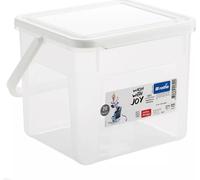 Rotho Boîte de rangement pour lessive transparente avec couvercle Bac à lessive plastique 3kg / 4,5L, Transparent
