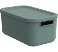 Rotho Box Albula Light boîte de rangement vert Mistletoe green ca. 23,5x39,5x17,7 cm