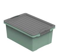 Rotho Compact Boîte de rangement 13l avec couvercle, Plastique (PP recyclé) sans BPA, vert/anthracite, A4/13l (39.5 x 27.5 x 18.0 cm)