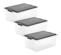 Rotho Compact Ensemble de 3 Boîtes de Rangement 38 l avec Couvercle, Plastique (PP) sans BPA, Anthracite/Transparent, 3 X A3/38 l (57,5 X 40,0 X 25,0 cm)