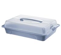 Rotho Cool & Fresh Boîte à gâteaux avec refroidissement, capot et poignée de transport, en plastique (PP), sans BPA, transparent/bleu, 43,5 x 29,5 x 11,0 cm