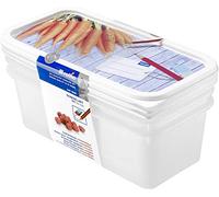 Rotho Domino Lot de 4 pots à congélation de 1,2 l avec motif inscriptible sur le couvercle, Plastique (PP) sans BPA, blanc, 3 x 1.2l (23.3 x 11.8 x 10.0 cm)