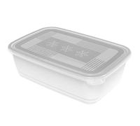 Rotho Freeze Boîte de congélation 3,7l avec couvercle, Plastique (PP) sans BPA, transparent, 3.7l (29.5 x 20.0 x 9.2 cm)