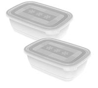 Rotho Freeze Lot de 2 bocaux à congélation de 1,9 l avec couvercle, Plastique (PP) sans BPA, transparent, 2 x 1.9l (23.5 x 16.0 x 10.0 cm)