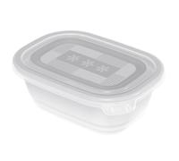 Rotho Freeze Lot de 4 boîtes blanches de congélation 0,5l avec couvercle transparent, Plastique (PP) sans BPA, 4 x 0.5l (14 x 8 x 6 cm)