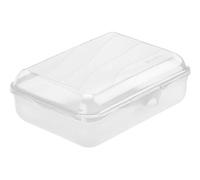Rotho Boîte à lunch Fun 1,25 l Fermeture clic Plastique PP sans BPA Transparent